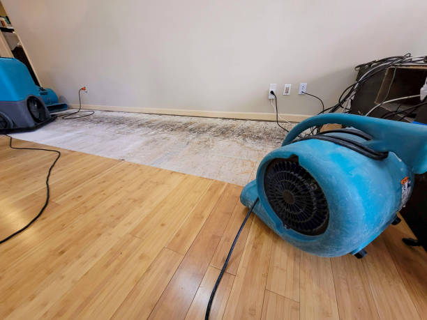 Professional Water Extraction technician working in Bristol, CT